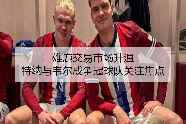 雄鹿交易市场升温 特纳与韦尔成争冠球队关注焦点